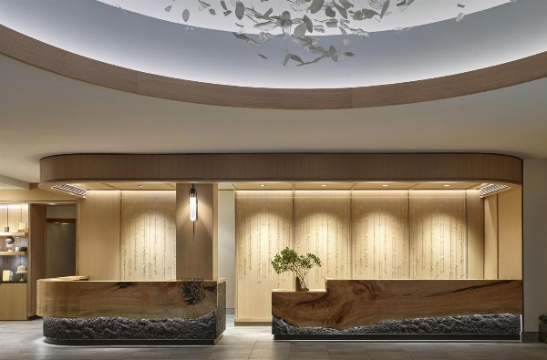 Viceroy Snowmass image 5