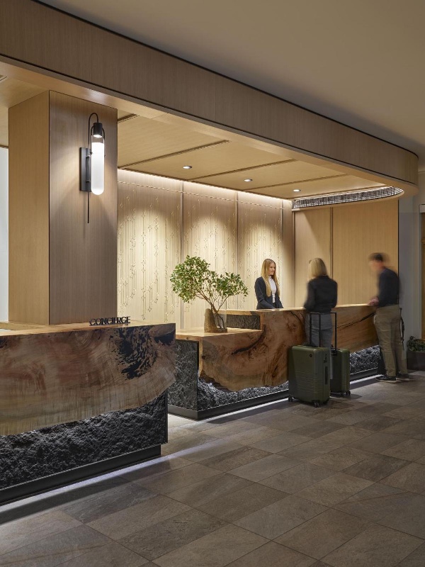 Viceroy Snowmass image 6